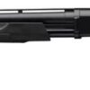 BPS 10 Gauge Field Composite