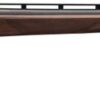 BT-99 Micro with Adjustable Buttplate and Comb