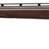 BT-99 Micro with Adjustable Buttplate and Comb