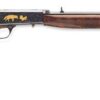 Semi-Auto 22