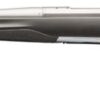 X-Bolt Stainless Stalker