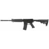Armalite M15 5.56 Defensive Sporting Rifle 16" DEF15 (Free Shipping - Image 2