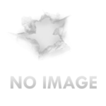 SIG SAUER 5.56X45MM NATO SEMI AUTOMATIC 30 ROUNDS 16 BARREL
