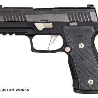Shop P320 AXG Equinox for sale
